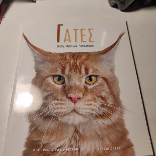 Cats breeds, care, behavior like new book