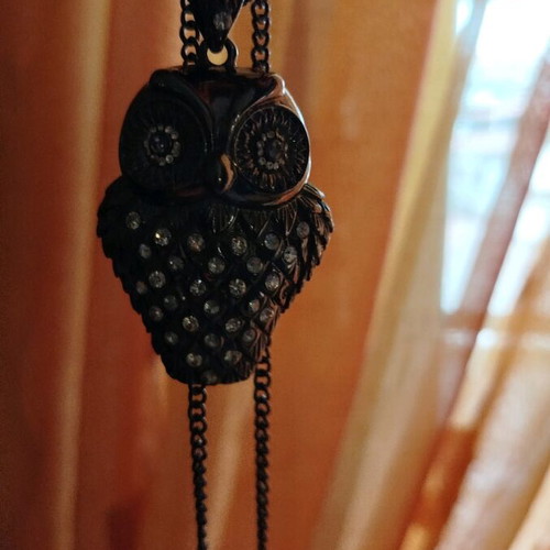 Owl necklace like new, brown and silver