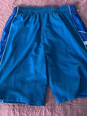Ethniki Ellados basketball shorts Champion blue size XL used