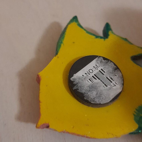 Fish magnet used, colorful with glitter