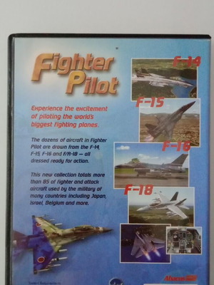 Fighter Pilot videogame used, without manual, PC