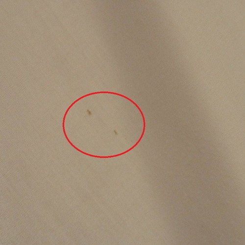 Primark White Shirt Small like new
