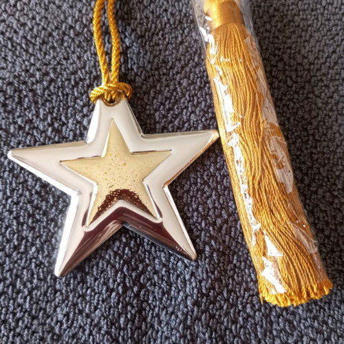 Star charm silver with gold new