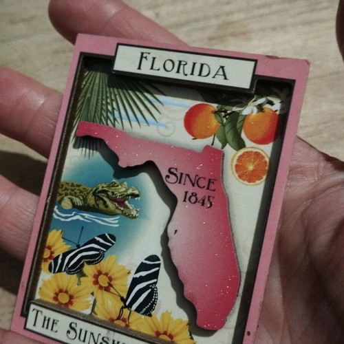 Florida magnet used