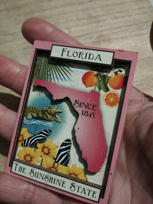 Florida magnet used