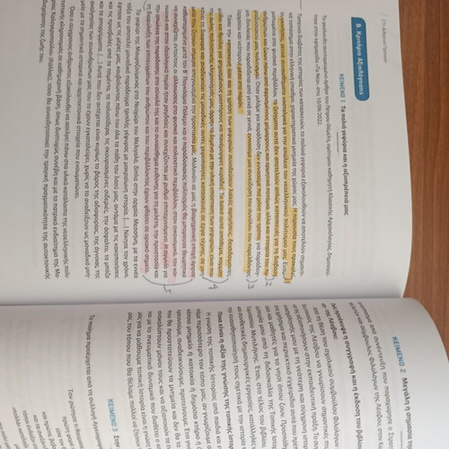 Nea Ellinika G Lykeiou Essay Guide with Solutions used