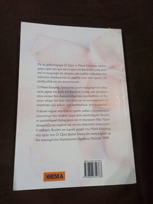 The Hours like new book