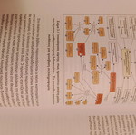 The Computer as a Cognitive Tool book like new