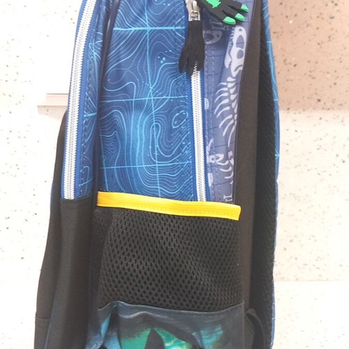 School Backpack with Dinosaur Design new