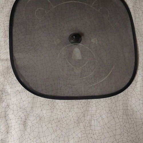 Car sunshade child used