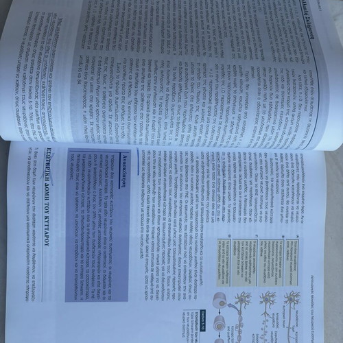 Brain and Behavior Volume 1 by Bryan Kolb & Ian Q. Whishaw