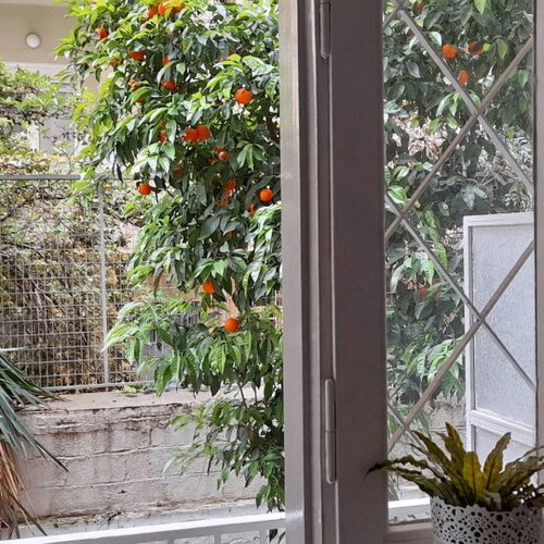 Studio apartment with furniture and appliances, Alsos Ilision, Athens
