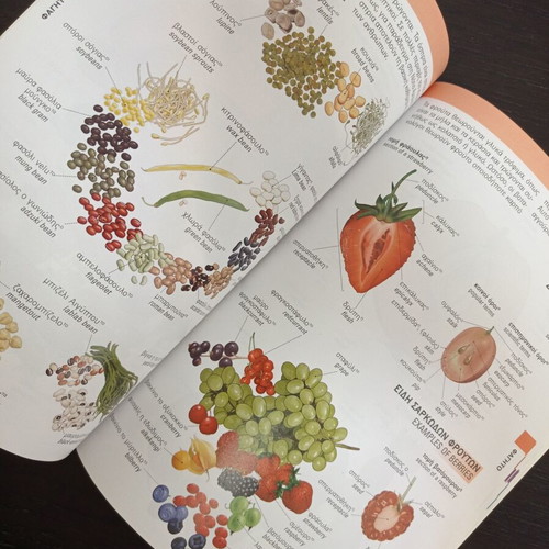 Illustrated Dictionary Issue 1 Greek-English new
