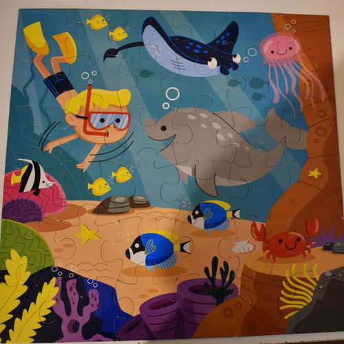 Amazing suitcase with book and puzzle used, A Day at the Sea