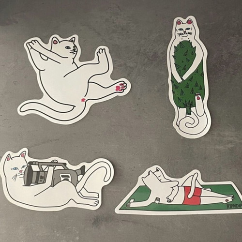 RipnDip sticker set of 4 new