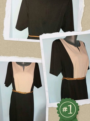 Dressbarn Woman Two-Tone Dress like new for Office or Occasion