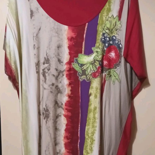 Top Line blouse used, size Large