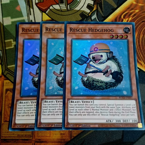 Rescue Hedgehog playset near mint, ROTA Super Rare 1st Edition