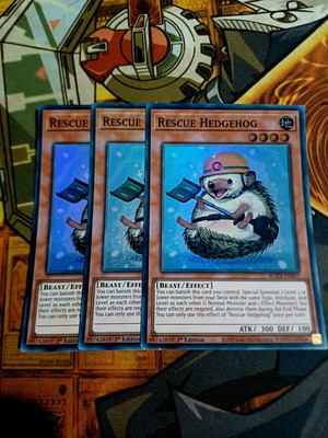 Rescue Hedgehog playset near mint, ROTA Super Rare 1st Edition