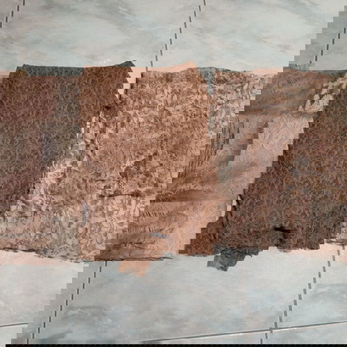 Cotton lace in brown beige shades new