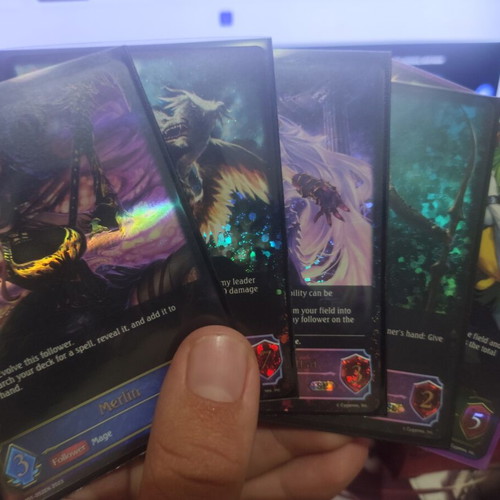 Shadowverse Evolve card collection, approx. 800 cards