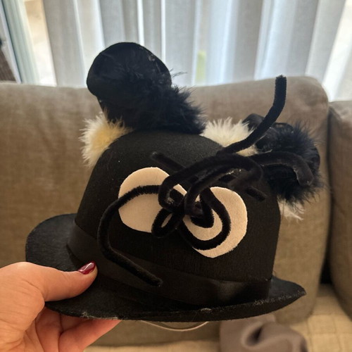 Cat costume like new for 4-year-old child