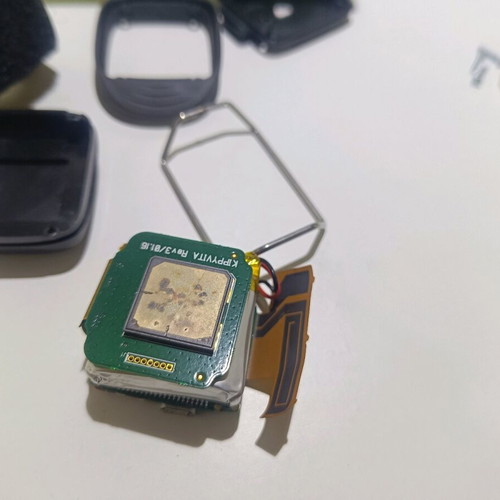 Kippy Vita GPS for dogs and cats non-working for repair