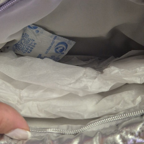 Dior silver pouch