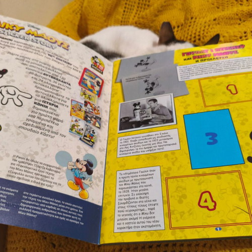 Panini album used Mickey Mouse Sticker Story