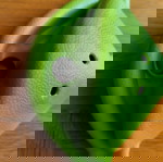  Παιδικά παιχνίδια