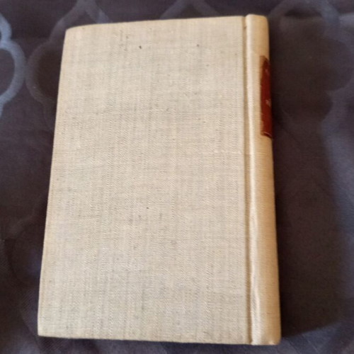 The Demons by Fyodor Dostoevsky French book used, 1937, second volume