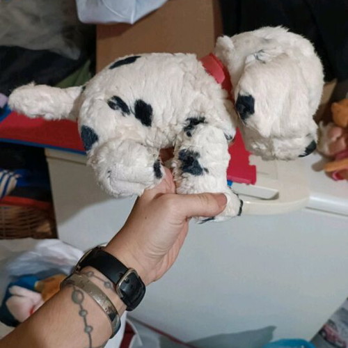 Plush dog used, washed and clean