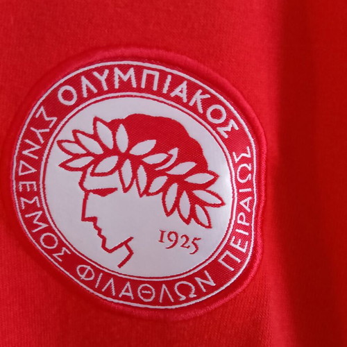 Puma Olympiacos Training T-Shirt original, size L, like new