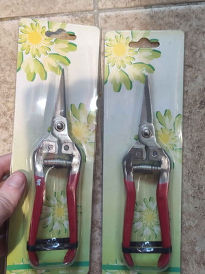Grape harvesting scissors new, pack of 2