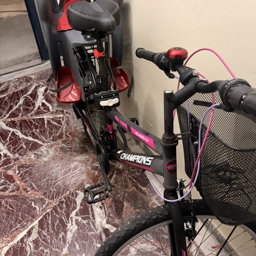 Women's city bicycle Champions