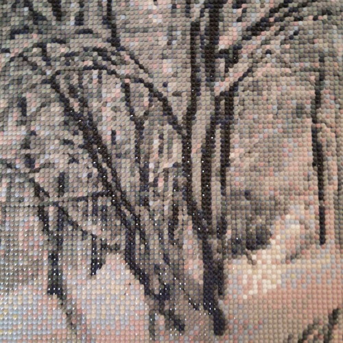 Diamond Art White Tiger on Snow Canvas