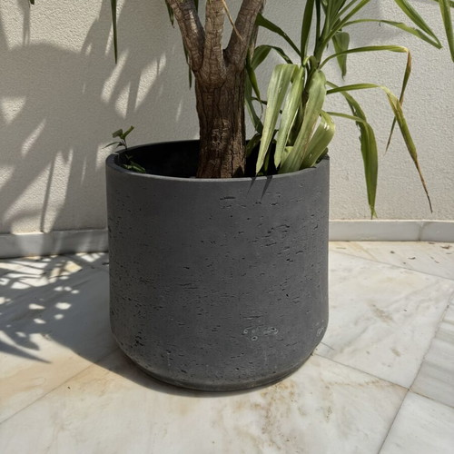Gray concrete planter used