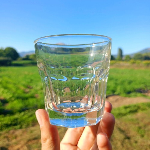 Whiskey glasses used, set of 8 lowball
