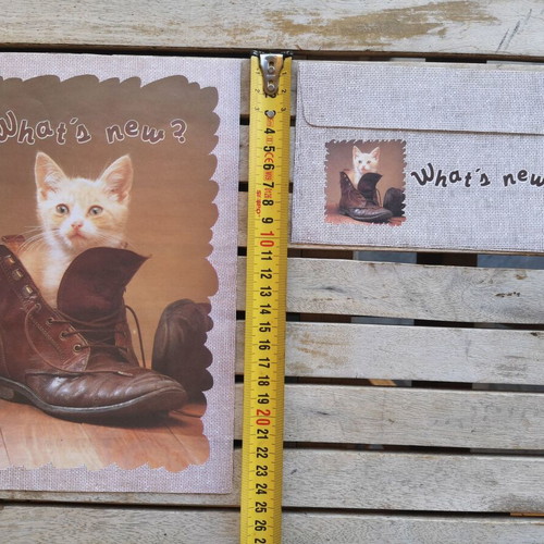 Letter set and envelope with kitten in shoe used