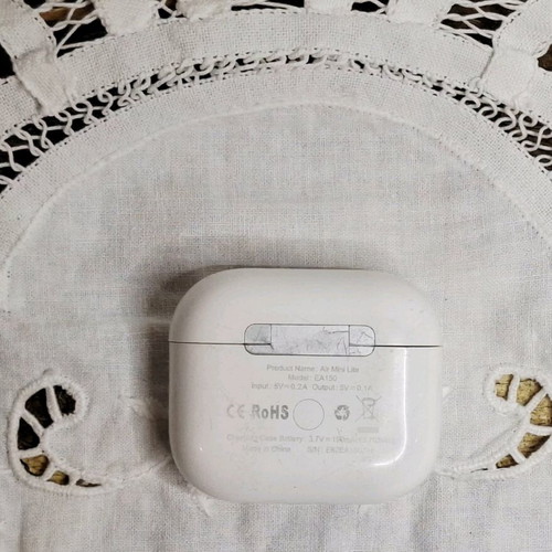 Riversong wireless earbuds case used