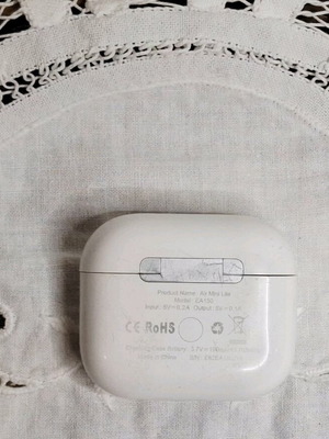 Riversong wireless earbuds case used