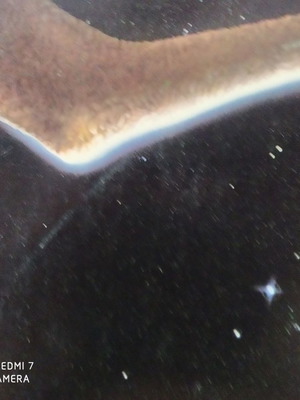 E. T. record used, worn cover