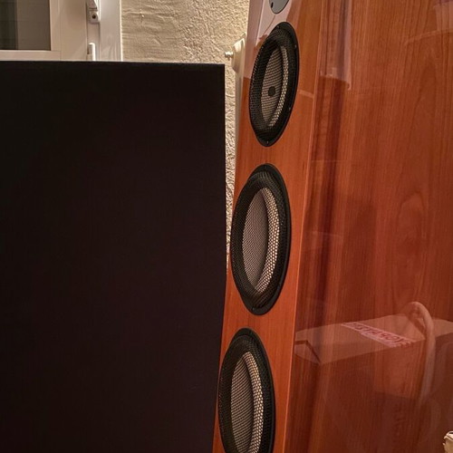 HiEnd Marten Bird speaker like new floor standing