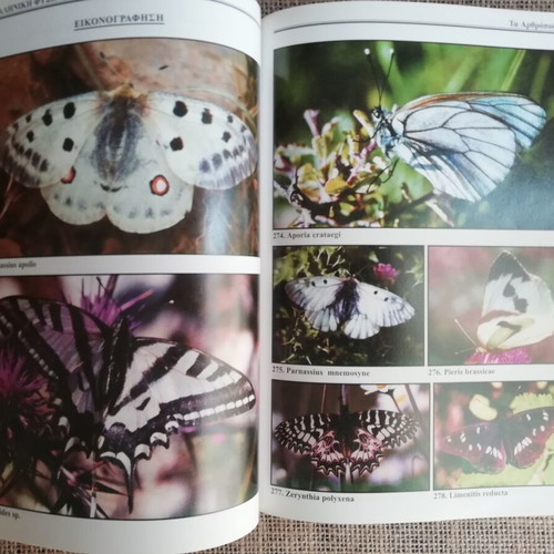 Book Greek Nature like new, complete guide to species exploration 2003