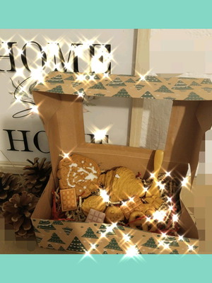 Box μπισκότων καινούργιο