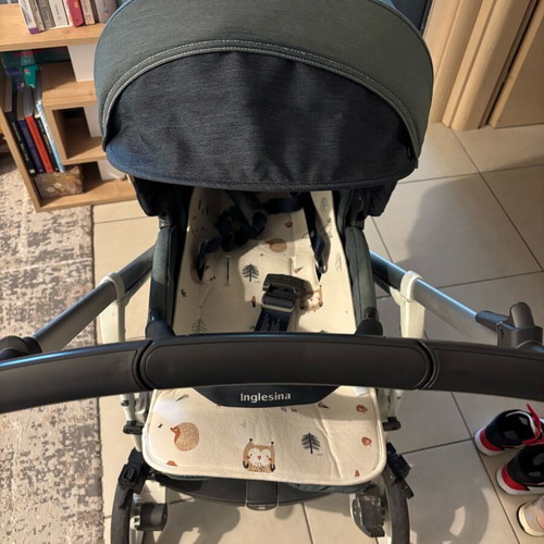 Inglesina Trilogy baby stroller used with accessories