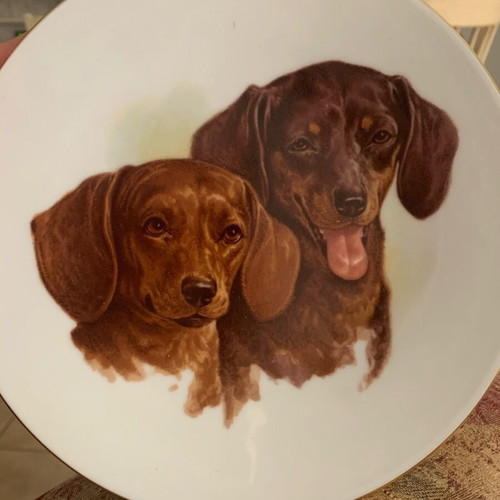 Decorative porcelain plate England Labrador dogs vintage like new
