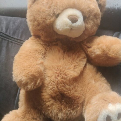 Teddy bear backpack like new