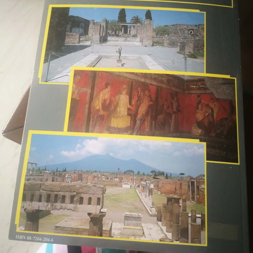Pompeii Book New Archaeological History and Travel Guide