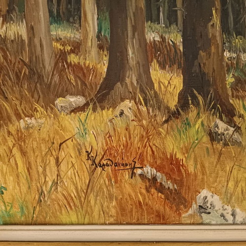 Oil painting used by K.Karathanasis, theme forest, 50x70cm